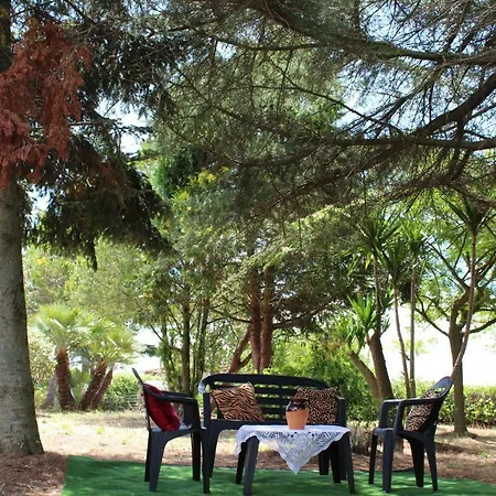 Casa vacanze Piccolo Ulivo 2 *