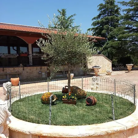 Piccolo Ulivo 2 *
