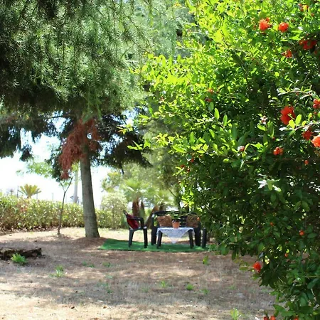 Piccolo Ulivo 2 Holiday home Martina Franca